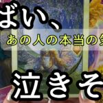 【神展開に大興奮😍】本当によかった😭◯番さんよくぞここまで来てくれました😭💖ツインレイのお二人います〔ツインレイ☯️霊感霊視🔮サイキックリーディング〕