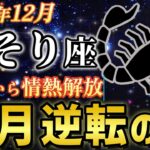 【蠍座♏️金運】12月15日から情熱解放！8年間の苦しみが終わり本当の自分に✨12月21日は最強開運日【12星座占い】