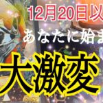 【個人鑑定級タロット占い🔮】12月20日以降あなたに始まる大激変❗️射手座新月🌚リンクリーディング💓