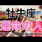 【牡牛座】運命のお相手💕🌟特徴/相手からの印象/時期やシチュエーション/2人の未来💖タロット占い🔮