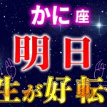 【蟹座】この冬至で〇〇すると「今」人生が好転する【12星座占い】
