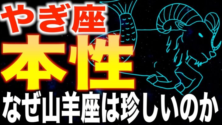 【山羊座♑️金運】99%が知らない✨圧倒的な潜在能力。【12星座】