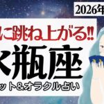 【水瓶座】現状が一気に変わる、跳ね上がる。本音が叶う♥️【1月前半＆2026年上半期】仕事運/対人運/家庭運/恋愛運/全体運 /タロット占い