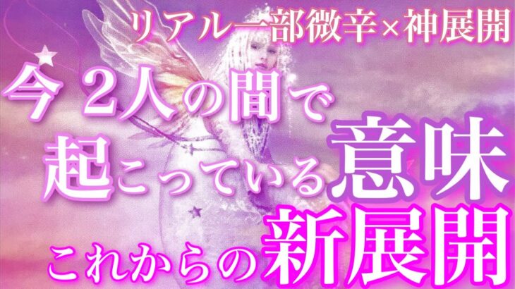 【🦋リアル過ぎ一部微辛×神展開💞】今2人の間で起こっていることの意味、これから起こる新展開🦋