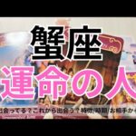 【蟹座】運命のお相手💕🌟特徴/相手からの印象/時期やシチュエーション/2人の未来💖タロット占い🔮