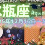 水瓶座★2025/12/16～31★かけがえのない一つのこと、一人の人を見つけていく！その途端に運気が急上昇する時