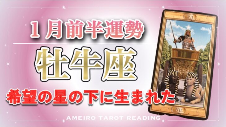 【牡牛座♉️2026年１月前半】停滞感から抜けていく🕊️希望の星・強運の下にあなたは生まれています🌈✨