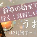 うお座♓️2025年12月後半〜2026年1月前半🌝 遂に出発の日！扉を開ける、勇気と前進、見える世界は新天地