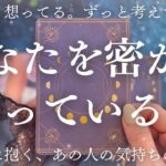 あなたのことがめちゃくちゃ好きなお相手さまです。大切に想われています❤️💍🔮【恋愛タロット】【あの人の気持ち】