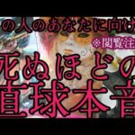 【恋愛】あの人のあなたに向ける死ぬほどの直球本音‼️🌈✨️☠️🫟