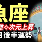 【魚座】年末ヤバすぎた…大きく意識が変わり出す。次のステージへ‼️✨豊かさの世界へようこそ🌏2025年 12月運勢 【タロット個人鑑定級リーディング 】