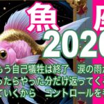 魚座♓️2026年　年間リーディング＊もう自己犠牲は終了　涙の雨が上がって　やったらやった分だけ返ってくる豊かさを受け取っていくから　コントロールを手放して！＊魂のリーディング