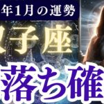 【双子座】2026年1月 ふたご座の運勢「闇落ち確定」