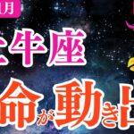 【牡牛座】2026年1月おうし座恋愛運「運命が動き出す」1月あなたを待っている人がいます