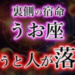 うお座の裏側、知ると震える。人の運命を変える星座【魚座の本性と宿命】