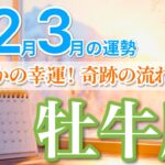 【1月〜3月🌟牡牛座】ずっと欲しかった“ご褒美”が次々届く３ヶ月🎁［運勢リーディング＆タロット占い＆オラクル］