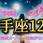 射手座12月♐️【神回】超大強運！きたー🥹最強カード✨運命がまわりだす🌈必ず受けとって🎁