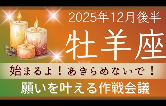 【牡羊座】12月後半✨あなたの作戦は成功する。居心地の良い人生に変えられる！強いサポートが来ます✦✦オラクルカードリーディング 2025