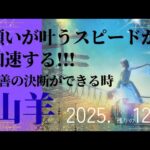 【2025.12月🎁】山羊座さんの運勢♑️願いが叶うスピードが加速する!!!最善の決断ができる時✨✨