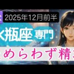 【水瓶座♒2025年12月】限界に近い関係を来年に持ち越さない事が重要⚠水瓶座の運勢占い