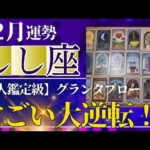 【獅子座♌️12月運勢】うわっすごい！個人鑑定級のグランタブローリーディング✨びっくり大逆転✨あなたの実力はこんなもんじゃない　奇跡の扉が開く（仕事運　金運）タロット＆オラクル＆ルノルマンカード
