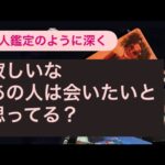 🧚寂しいな〜あの人は会いたいと思ってる？