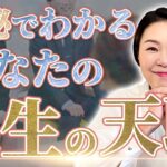 【数秘×転職】今あなたは本当にぴったりなお仕事をされていますか？