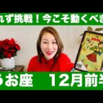 うお座♓️12月前半🔮恐れず挑戦！今こそ動くべき！新たな一歩が理想の未来へ繋がる！