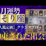 【蠍座♏️12月運勢】うわっすごい！個人鑑定級のグランタブローリーディング✨約束された運命の出会いがある時✨豊かさのドアが開く　去る者は追わないで（仕事運　金運）タロット＆オラクル＆ルノルマンカード