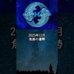 2025年12月 魚座の運勢 #うお座 #魚座 #運勢 #占い #占い師  #星占い #星座占い #星座 #12星座 #今月の運勢