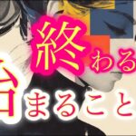 【見逃し注意🚨】これから終わること・始まること🦋【タロット占い・ルノルマン・オラクル・リーディング】