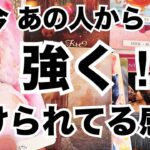 【辛口もある🩶】今あの人があなたに向けている強い感情！個人鑑定級に当たる占い｜恋愛タロット❤️｜ルノルマン｜オラクルカード細密リーディング