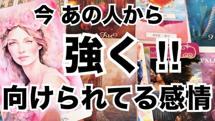 【辛口もある🩶】今あの人があなたに向けている強い感情！個人鑑定級に当たる占い｜恋愛タロット❤️｜ルノルマン｜オラクルカード細密リーディング