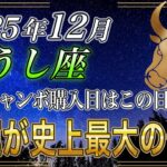 【おうし座♉】牡牛座のあなた、こんな1日は、もう来ない。12月の年末ジャンボの購入日はこの日一択です。貧乏が終わります。【12星座占い】