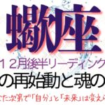 蠍座12月後半💫【㊗️願望成就】手放しは祝福の入り口だった❗️満ちた心が力となり未来は創るものへと変わっていく❗️Scorpio