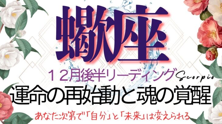蠍座12月後半💫【㊗️願望成就】手放しは祝福の入り口だった❗️満ちた心が力となり未来は創るものへと変わっていく❗️Scorpio