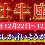 牡牛座 【 おうし座 ♉ 】 毎週タロット ( 2025年12月 22日の週) 大逆転の幸運の波！高まる流れに一気に乗る✨🔑 Taurus タロット占い タロットリーディング