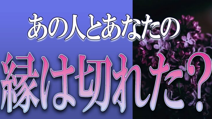 【タロット占い】【恋愛】【復縁】【相手の気持ち】忖度一切いたしません🌶️あの人とあなたの、縁は切れた❓😢💣💀💣【恋愛占い】