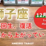 【獅子座12月後半】恋愛・お金の起死回生と復活‼️感情を表に出して浄化しておくと2026年が素敵なスタートになりそう😆🍀