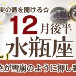 みずがめ座さんへ♎️【12月後半】真実の蓋を開き道がハッキリする☆求めていた繁栄や豊かさが雪崩のように押し寄せる♦︎感謝/ゲーム/遊び/浄化 ポイント…自分の心に誠実であれ！アファメーションで引き寄せ