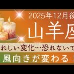 【山羊座】12月後半✨期待…うれしい知らせ…贈り物…喜びの予兆…一体何が起きるのか？！✦✦オラクルカードリーディング