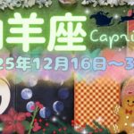 山羊座★2025/12/16～31★2026年のお仕事と恋愛を左右する大きなチャンスを掴む！そのチャンスを掴むためのメッセージ✨