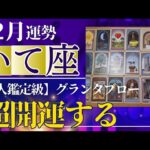 【射手座♐️12月運勢】うわっすごい！個人鑑定級のグランタブローリーディング✨ありえない奇跡✨勝利の扉が開く！射手座新月の超開運パワーが降り注ぐ（仕事運　金運）タロット＆オラクル＆ルノルマンカード