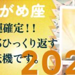 2026年、予想もできない場所に行く。強いんです、とても。【2026年の運勢　水瓶座】