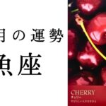 【魚座🤍12月の運勢】すばらしい人生を生きる！！2025年タロット占い