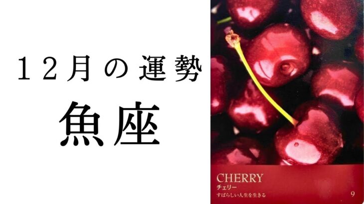 【魚座🤍12月の運勢】すばらしい人生を生きる！！2025年タロット占い