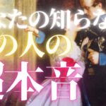 【忖度なしの本音】加速するあなたへの思い💕正直にお伝えします✨🕊恋愛・復縁・サイレント・曖昧・複雑恋愛【タロット・オラクル・ルノルマン】