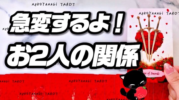 【神展開❤️🩹】変わらない現状、動き出します。✨️神展開✨️深掘り詰めリーディング♠️