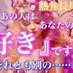 【🦋熱弁長尺鑑定💞】あの人は今、あなたのこと『好き』ですか？それとも別の…？🦋