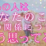 今あの人はあなたのことをどう思ってる？🤍 2人の関係についての想い＆あなたへの気持ち、お伝えします🤲 【 恋愛 タロット オラクル カード 占い 】